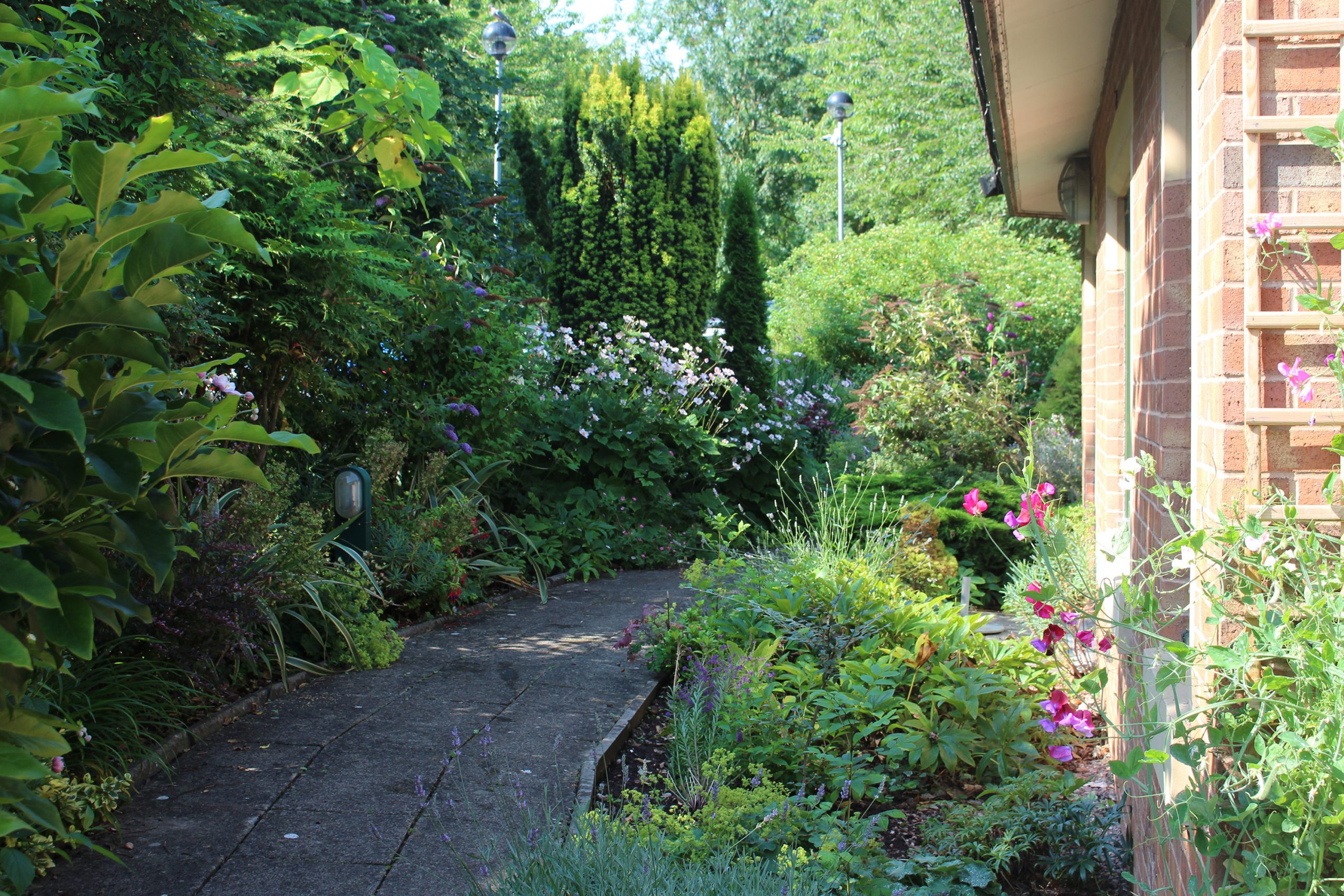 garden
